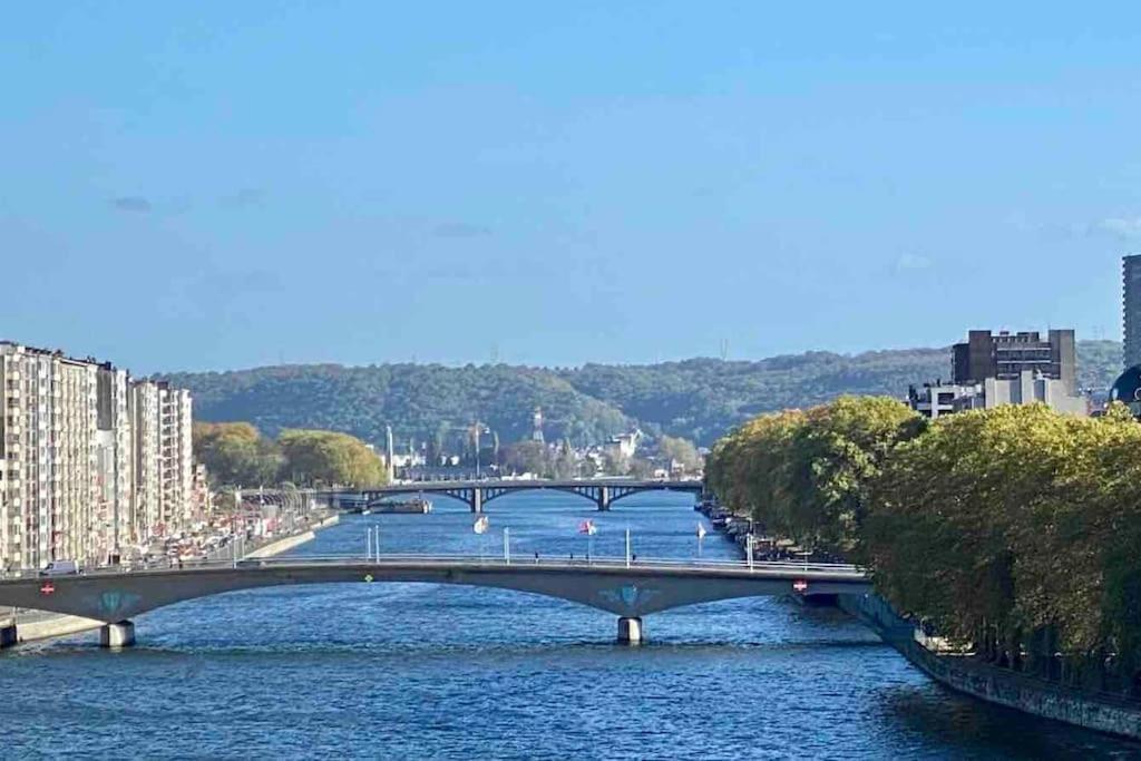 Apartment Le Neuvice - Place Du Marche, Quais, Bueren